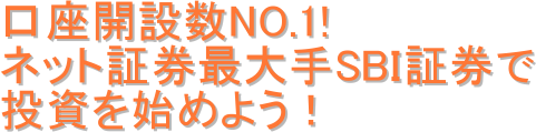 口座開設数NO.1!
ネット証券最大手SBI証券で
投資を始めよう!